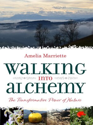 cover image of Walking Into Alchemy